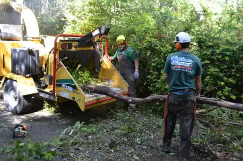 tree services Baldwin City